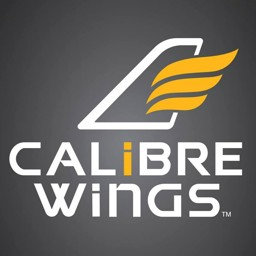 Bild für Kategorie Calibre Wings Flugzeugmodelle 